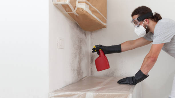 Professional Mold Testing technician working in Mill Neck, NY